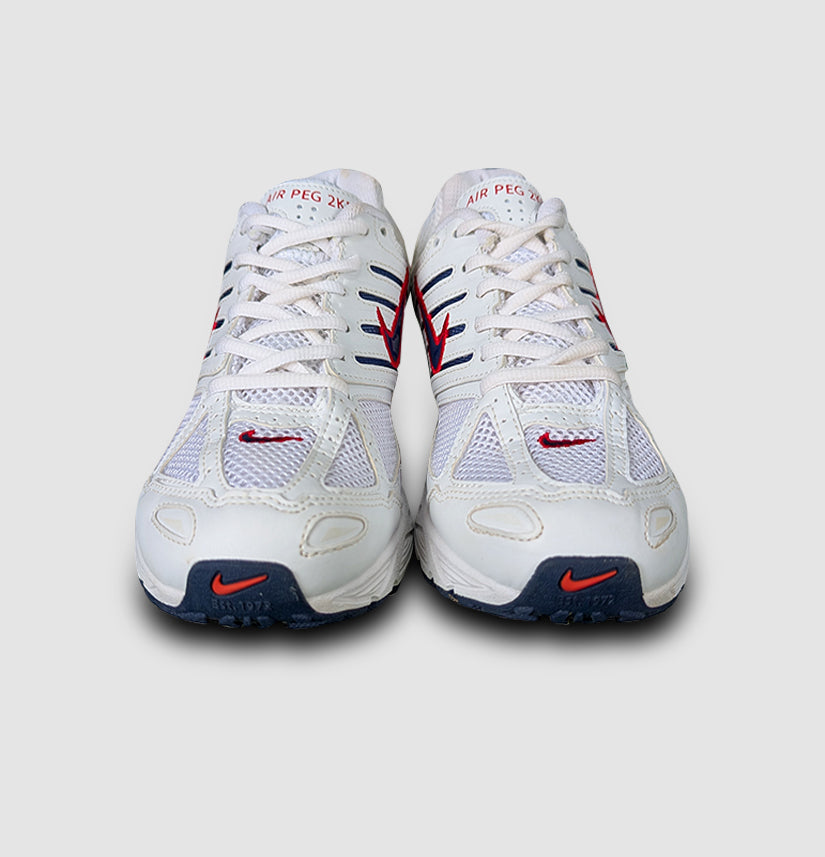 Nike Air Pegasus 2K5 Unisex Sneakers – White/Blue/Red Retro Running Style