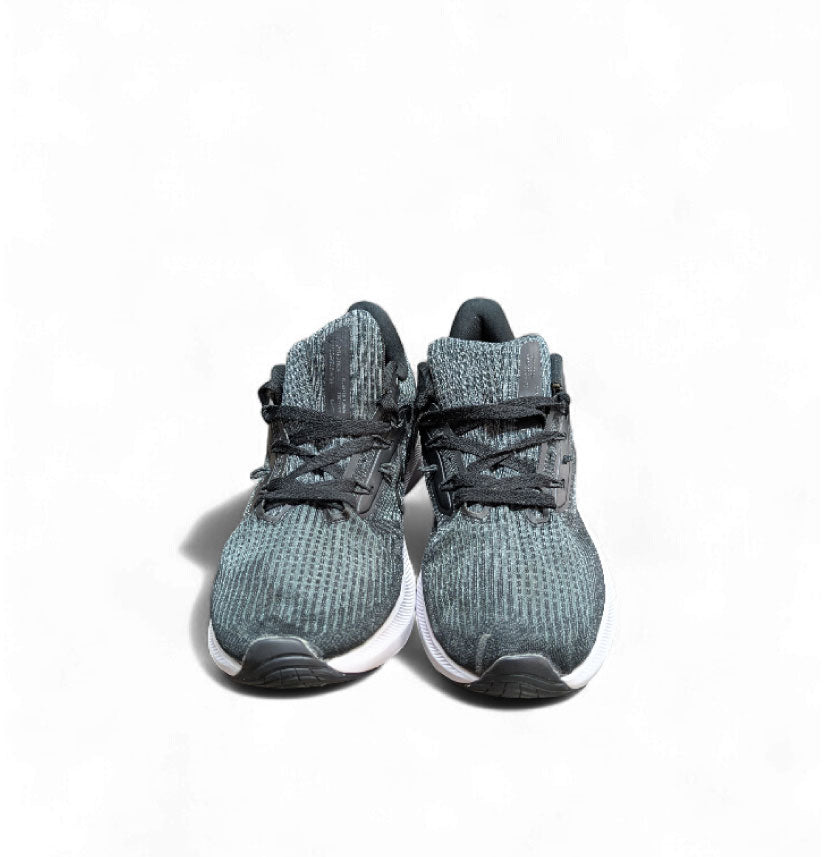 Nike Pegasus 39 Black